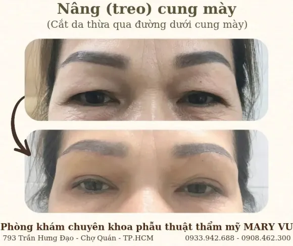 Tin tức